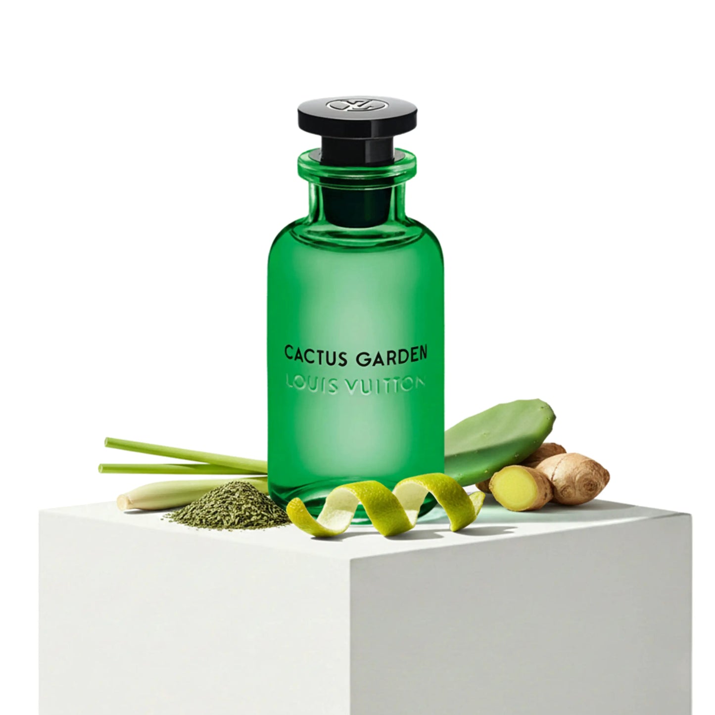 Louis Vuitton - Cactus Garden